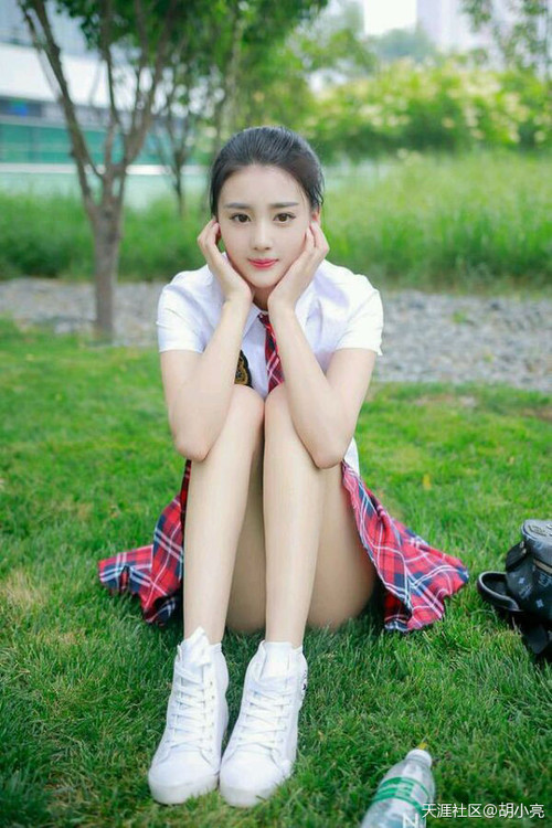 爱游戏电竞-伊朗马术协会与非洲马术协会开展技术援助项目，提升当地水平。