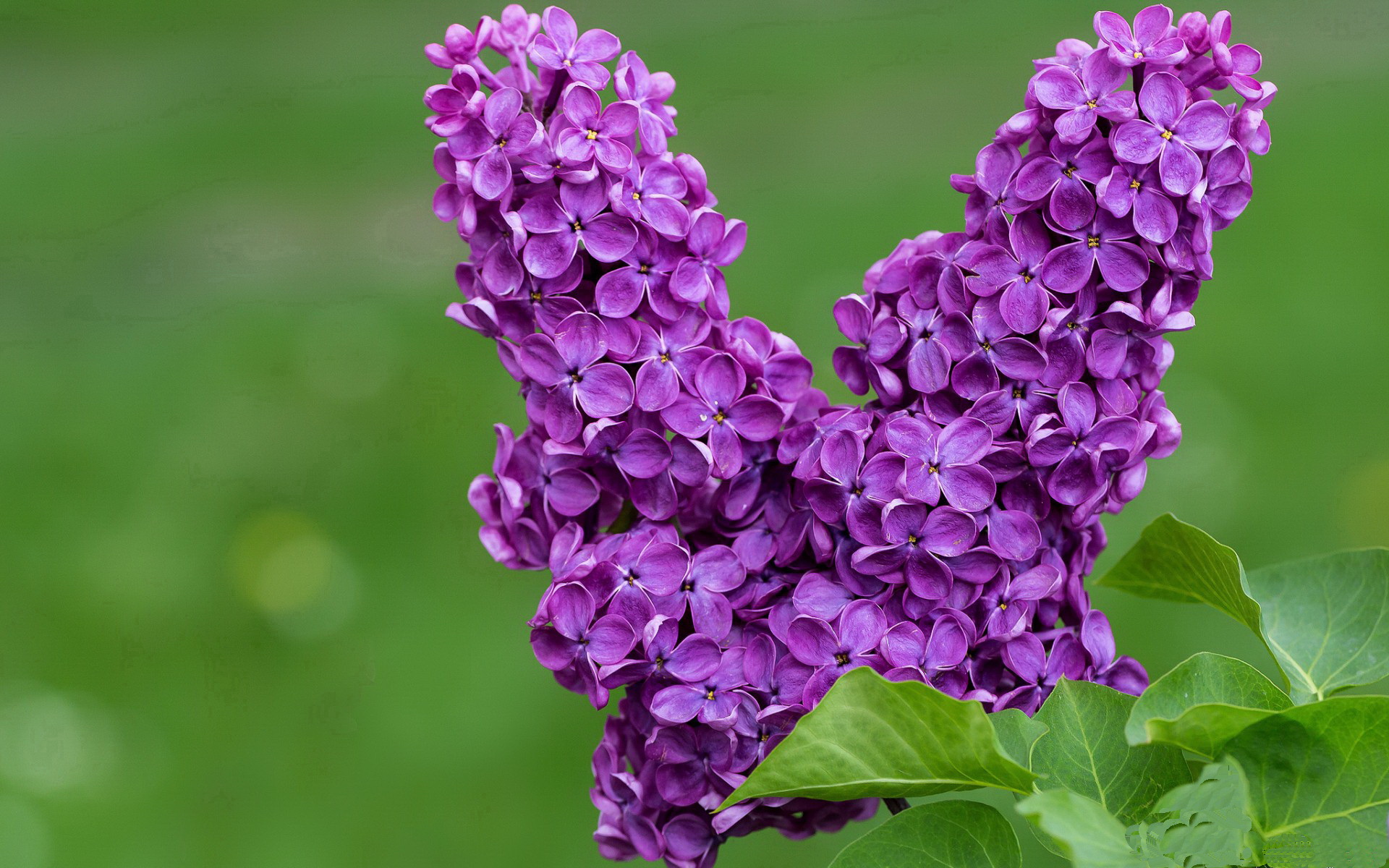 史上“最无敌”团队合作：战术、配合、默契都到极致，团队作战的游戏有哪些