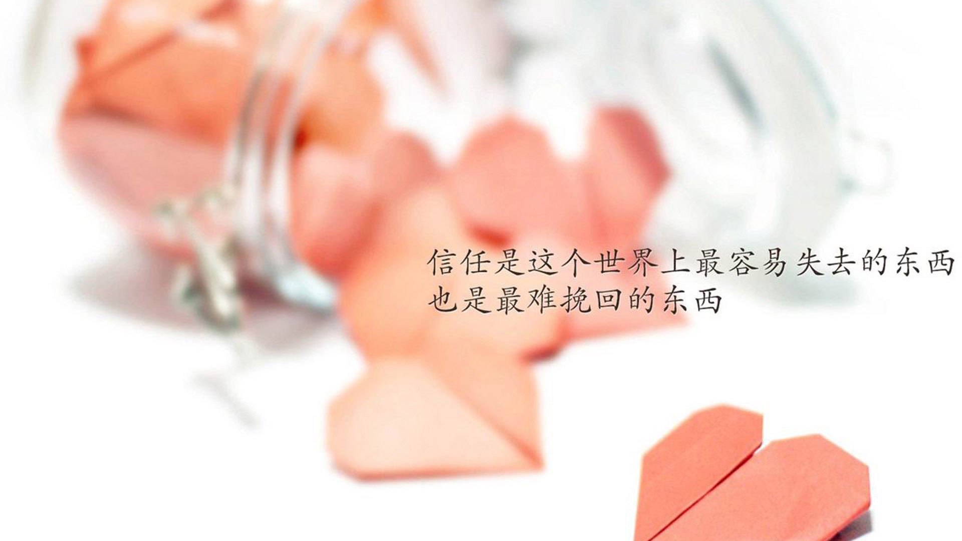 新加坡骑手Alice Shi在Jumping World Challenge中获得B类组别前三名，成绩优异。